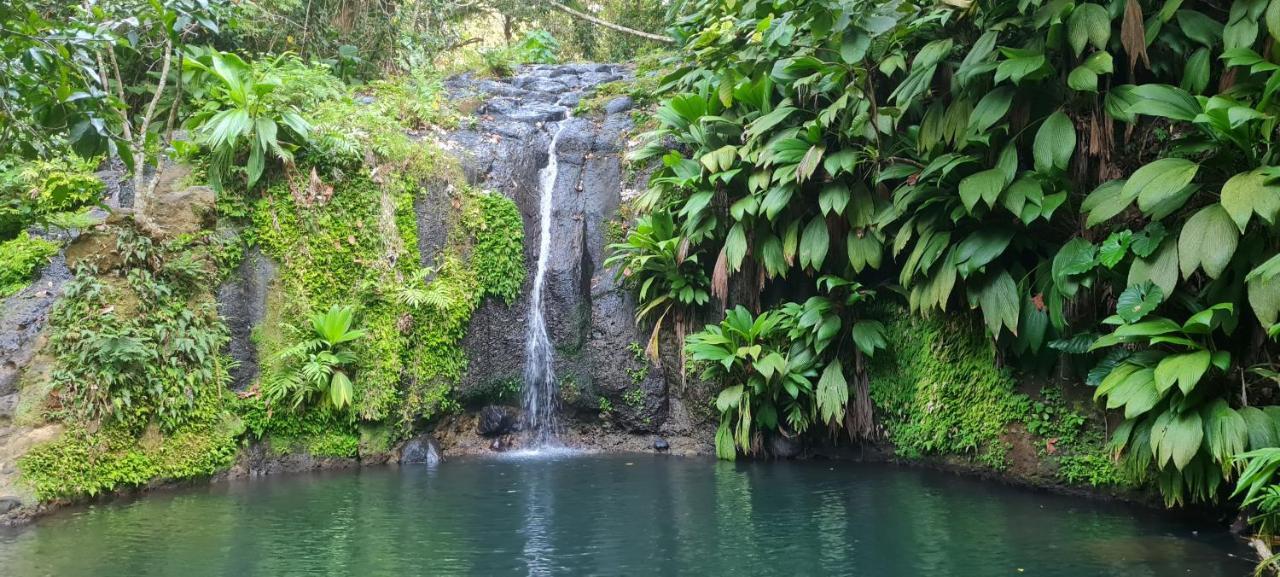 Gite Kaz A Topaze, Piscine, Jardin Tropical Sainte-Rose Exterior photo
