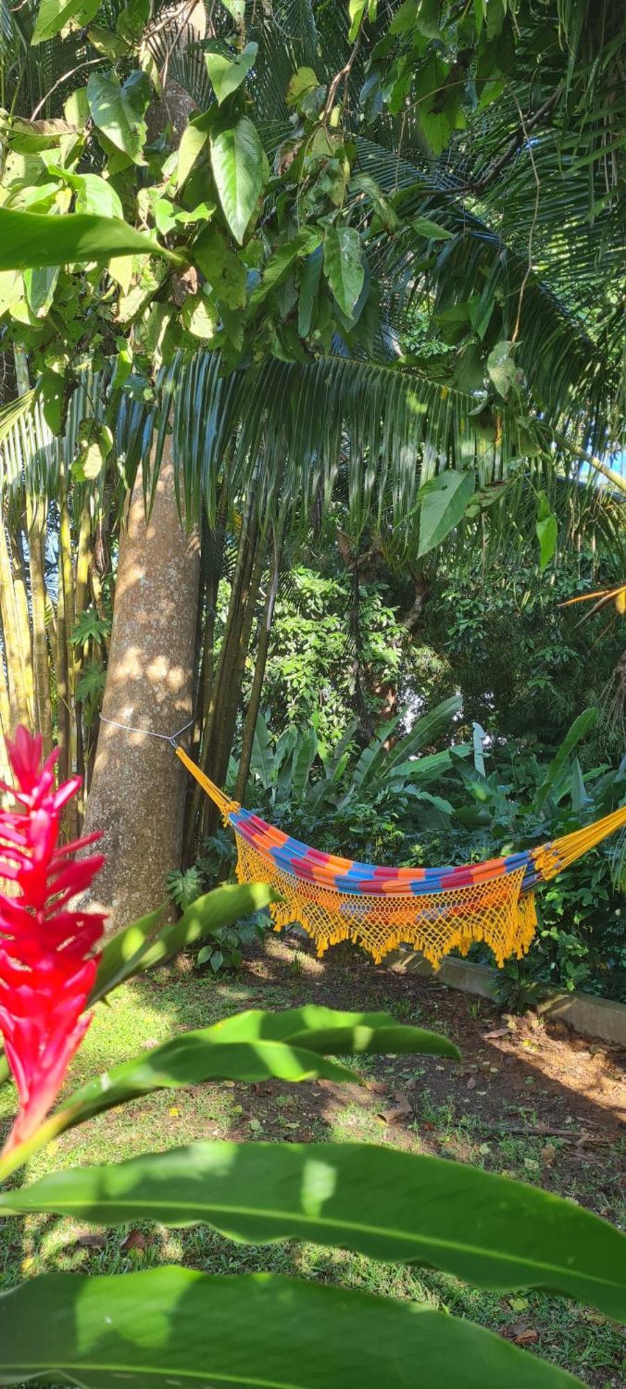 Gite Kaz A Topaze, Piscine, Jardin Tropical Sainte-Rose Exterior photo